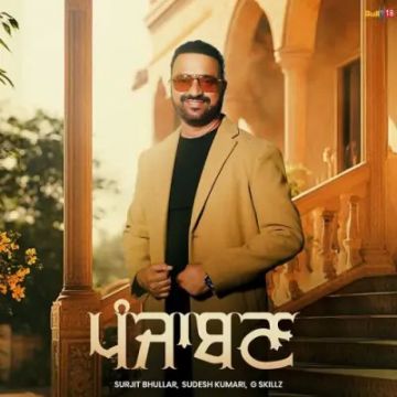 Punjaban cover