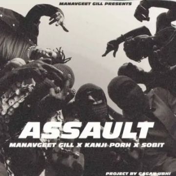 Assault cover