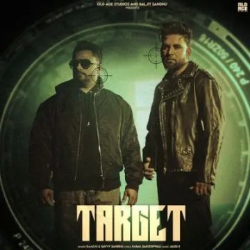 Target cover