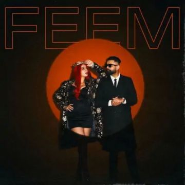 FEEM cover