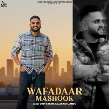 Wafadaar Mashook cover