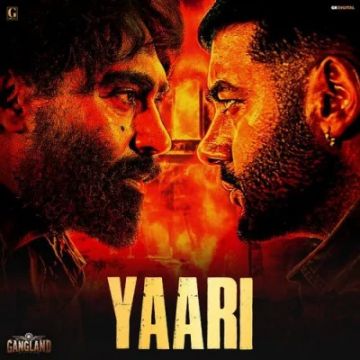 Yaari cover