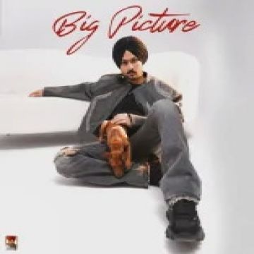 Big Picture cover