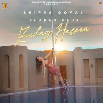 Zindagi Haseen cover