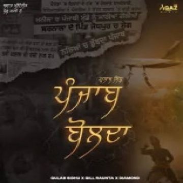 Punjab Bolda cover