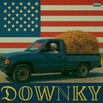 Downky cover