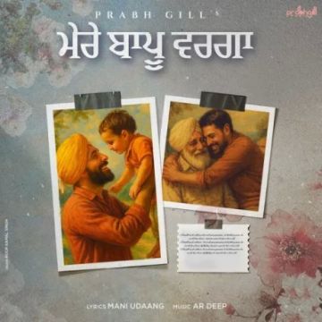 Mere Baapu Warga cover