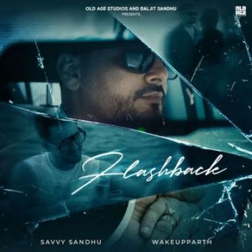 Flashback cover