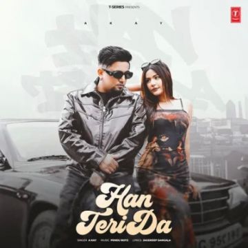 Han Teri Da cover