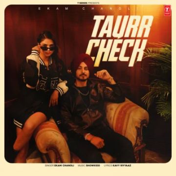 Taurr Check cover