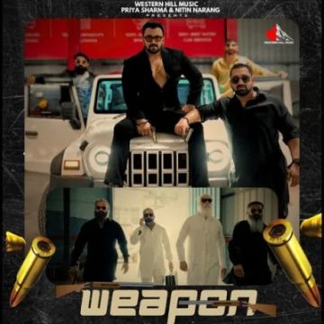 Weapon cover