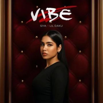 Vibe cover