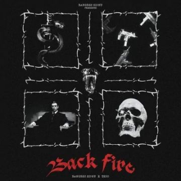Backfire cover