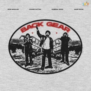 Back Gear cover