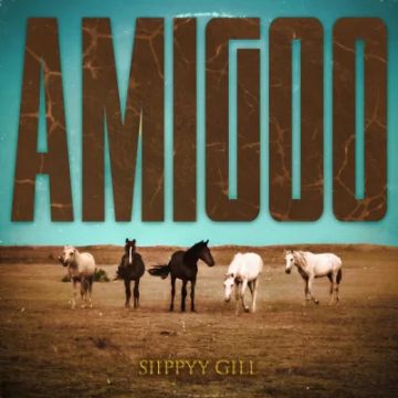 Amigoo cover
