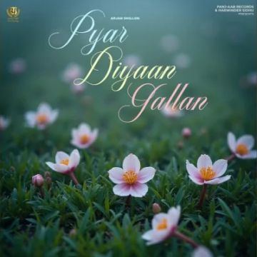 Pyar Diyaan Gallan cover