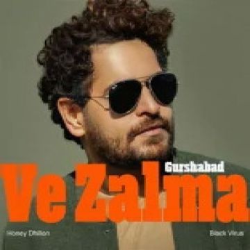 Ve Zalma cover
