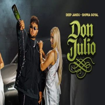 Don Julio cover