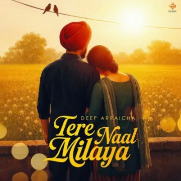 Tere Naal Milaya cover
