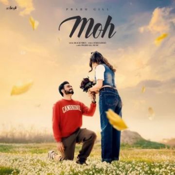 Moh cover