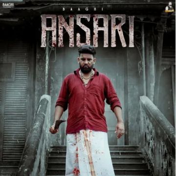 Ansari cover