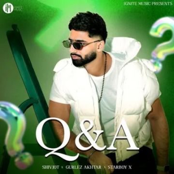 Q&A cover
