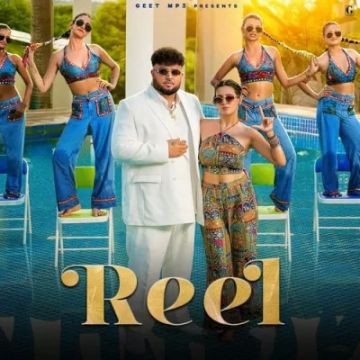 Reel cover