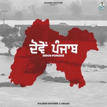 Dove Punjab cover