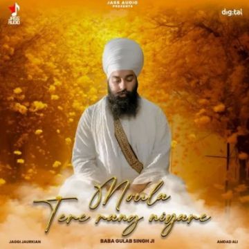 Moula Tere Rang Niyare cover
