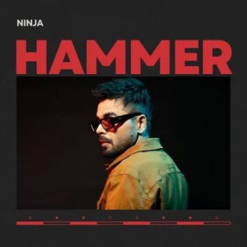 Hammer cover