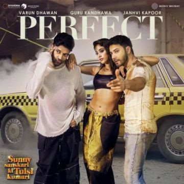 Perfect cover