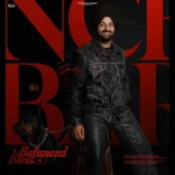 Balanced Bars cover