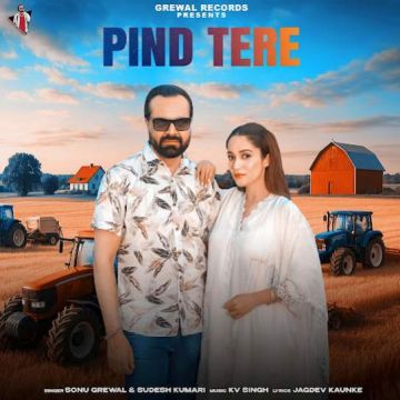 Pind Tere cover