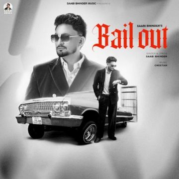 Bail Out cover