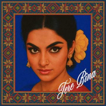Tere Bina cover