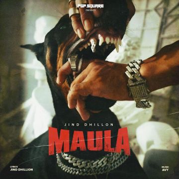 Maula cover