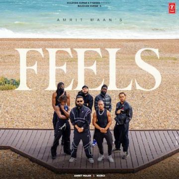 Feels cover