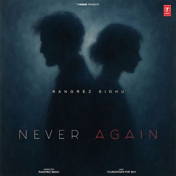 Never Again cover