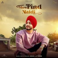Mere Pind Naldi cover