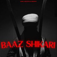 Baaz Shikari cover