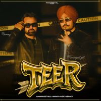 Teer cover