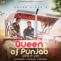 Queen Of Punjab cover