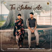 Tu Sohni Ae cover