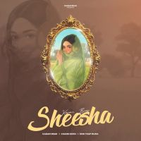 Sheesha cover