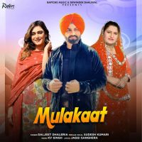 Mulakaat cover