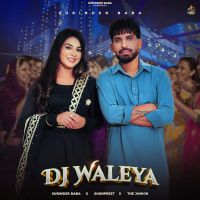 Dj Waleya cover