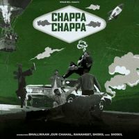 Chappa Chappa cover