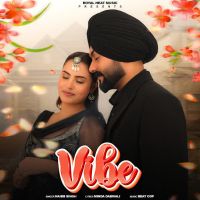 Vibe cover