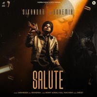Salute cover