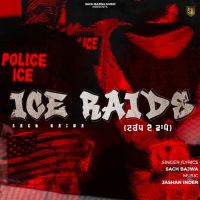Ice Raids cover